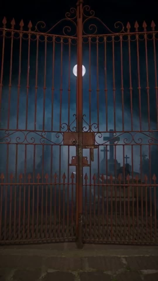 Las rejas de un cementerio se abren bajo la luna llena, entre niebla